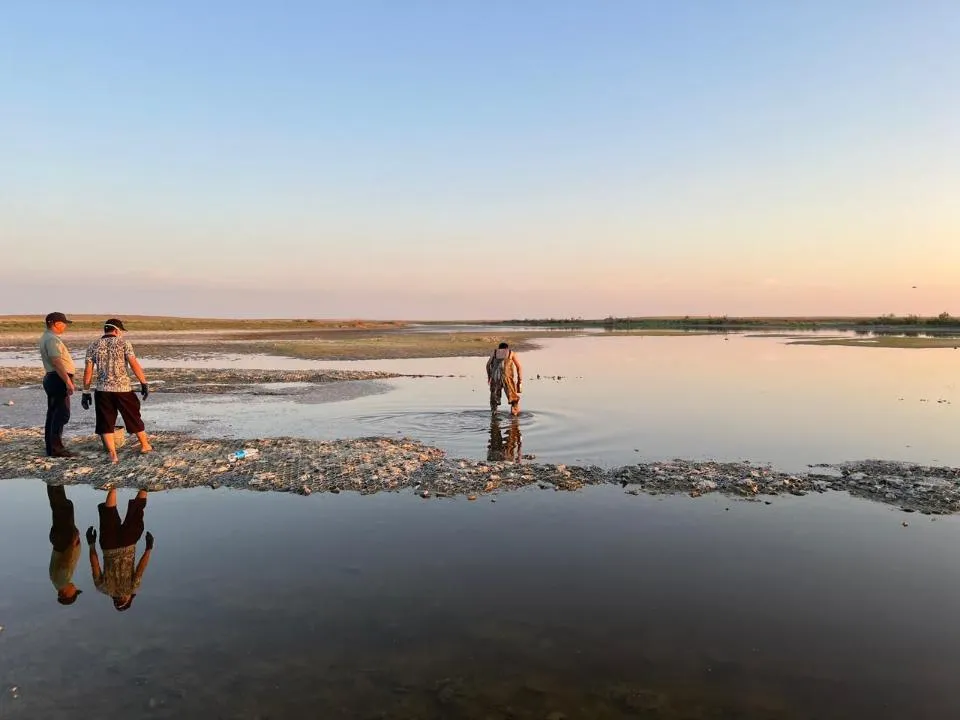 127 кг рыбы погибло в Атырауской области из-за нехватки кислорода