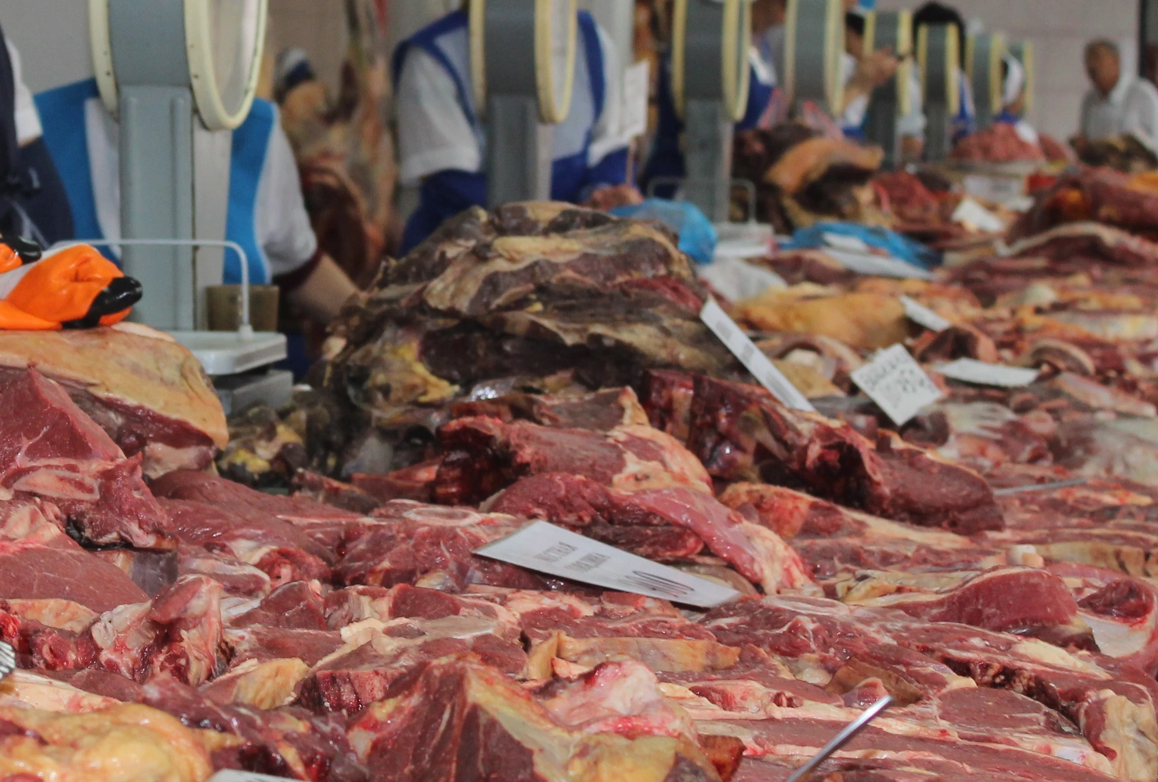 В Атырау боятся покупать говядину из-за сибирской язвы