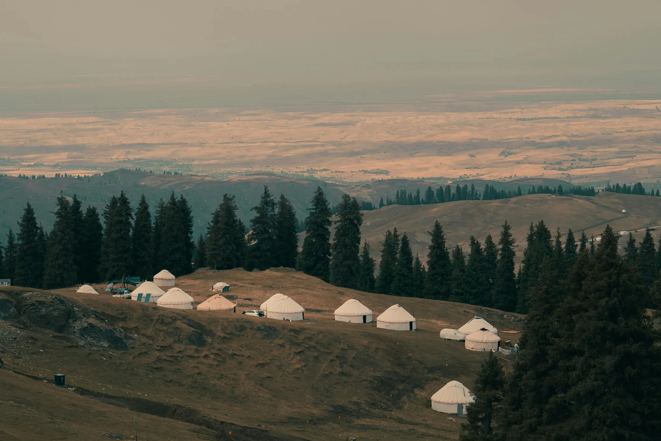 23 тысячи гектаров пастбищных земель не хватает в Уральске