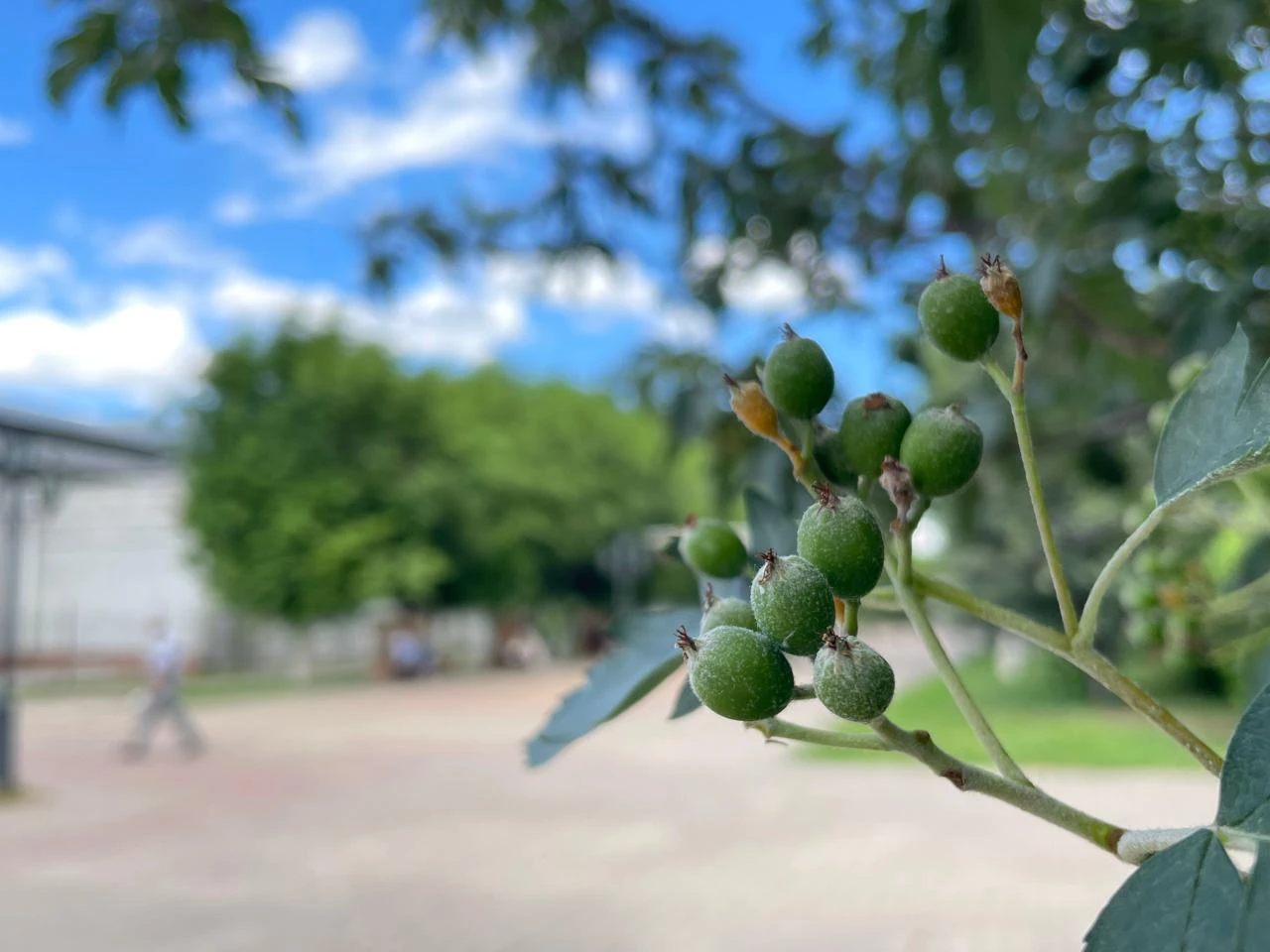 Тепло и без осадков: прогноз погоды на 3 сентября в ЗКО