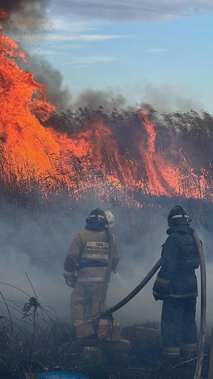 50 дачных участков спасли от крупного пожара в Актюбинской области