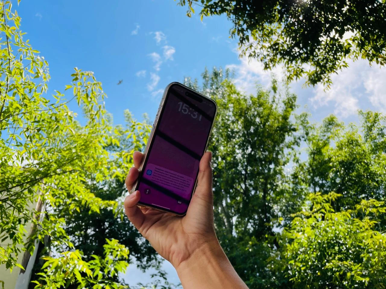 Почему связь дорожает, но лучше не становится, спросили министра