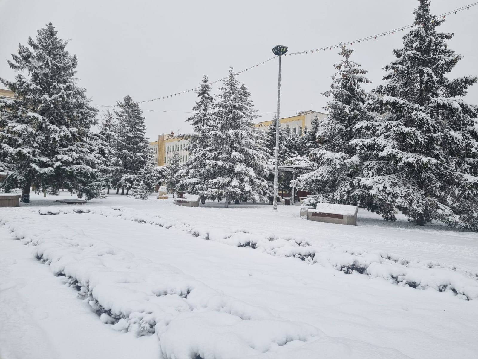 Морозы до 22 градусов прогнозируют в ЗКО