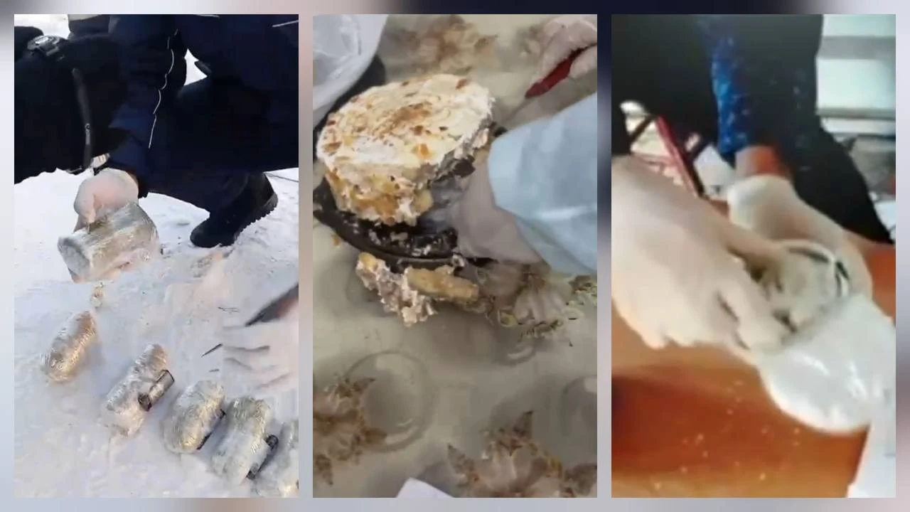 Телефон в одежде, еде и торте: как адвокаты пытаются пронести гаджеты в колонию