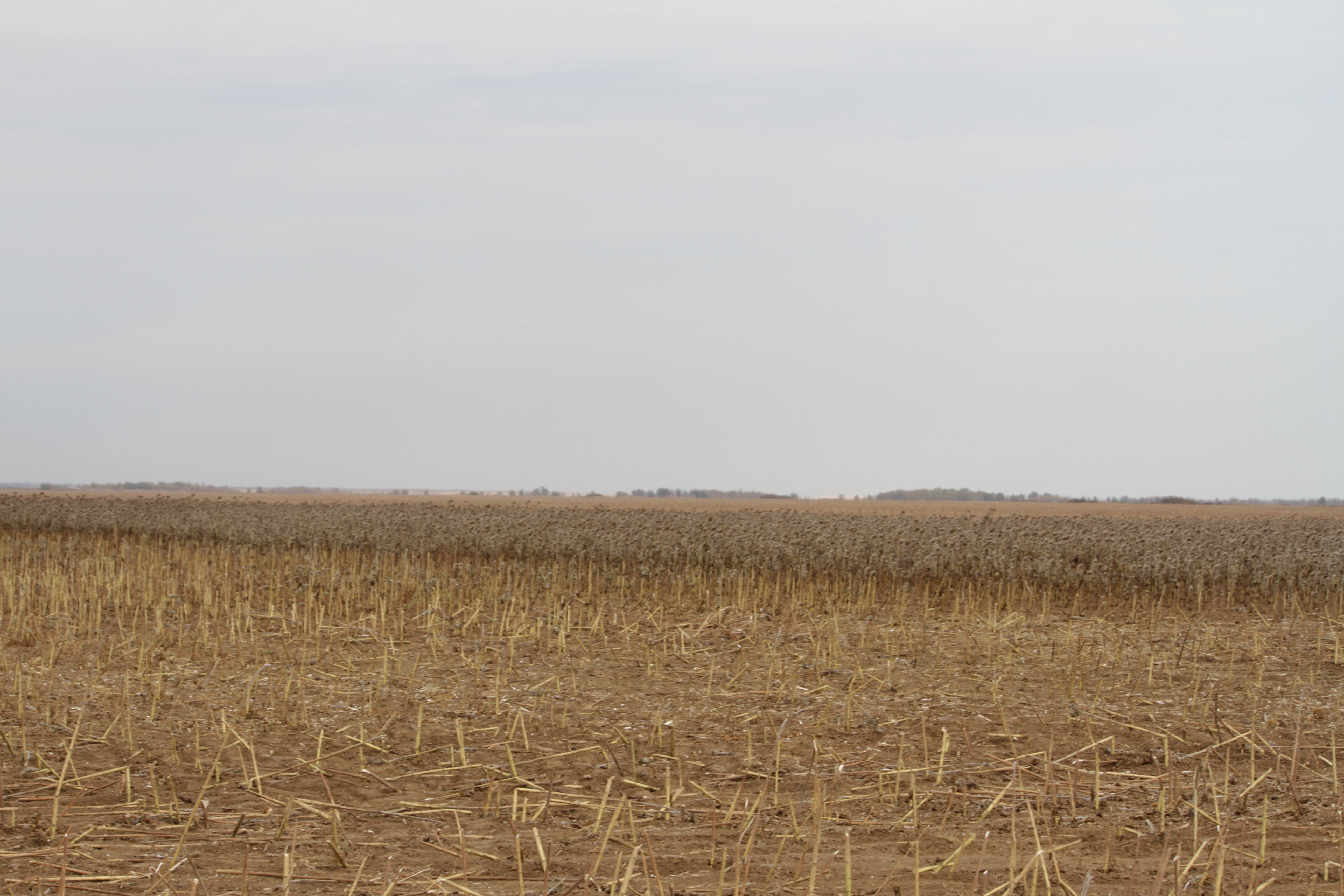 БҚО-да пайданылмаған жер телімдері мемлекет меншігіне қайтарылды