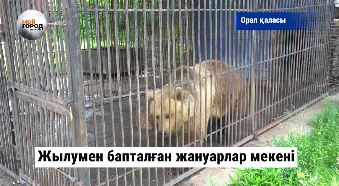 Жылумен бапталған жануарлар мекені