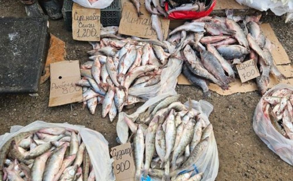 «100-граммовые мальки за 900 тенге»: в Атырау продают спасенную рыбу