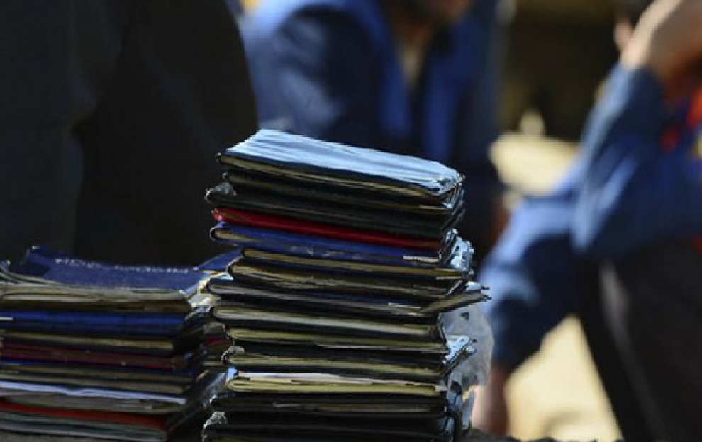 Каналы незаконной миграции ликвидированы в ЗКО и еще четырех областях