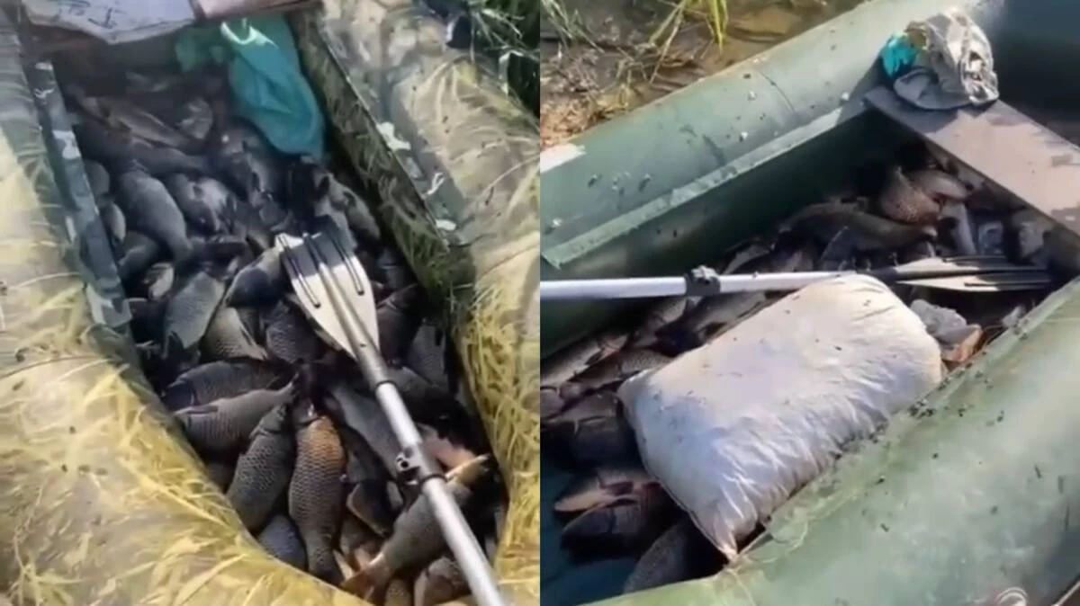 70 кг рыбы изъяли у браконьеров в Актюбинской области