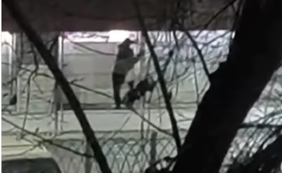 В Уральске поймали мужчину, который залез в магазин за шоколадом