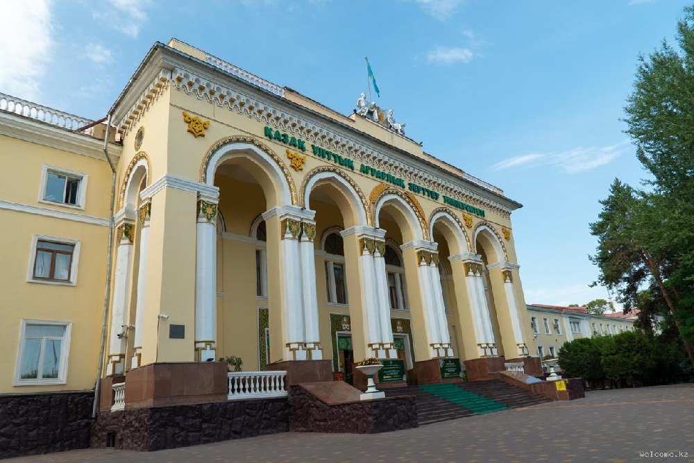 Хищения почти на 44 млн тенге: осудили сотрудника агроуниверситета