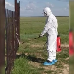 Когда начнется дезинфекция затопленных дач Уральска
