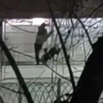 В Уральске поймали мужчину, который залез в магазин за шоколадом
