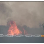 45 рыбаков оштрафовали в ЗКО