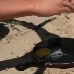 Мужчина приготовил яичницу на раскаленной от солнца сковороде на Тенгизе