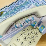 Пожилые люди отдали мошенникам более 10 млн тенге в Уральске
