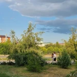 Облачно и без осадков: погода в ЗКО на 15 сентября