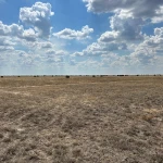 БҚО-да 4750 гектар жайылым жер мемлекет меншігіне қайтарылды
