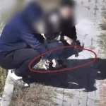 Плевки и окурки: полицейские Актобе штрафуют нарушителей