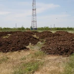 В ЗКО планируют создавать удобрения из куриного помёта