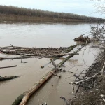 Уровень воды продолжает повышаться на реке Урал