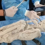 Ученые из Перу обнаружили настоящих пришельцев