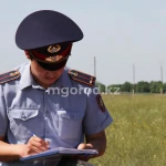 Миллионный штраф грозит предпринимателям ЗКО за стихийную свалку