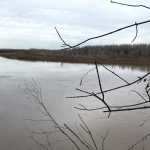 Уровень воды в Урале вырос на 4 см за прошедшие сутки