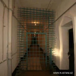 Тройня родилась в Алматинской области