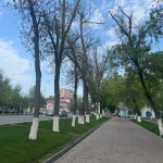 На западе Казахстана 28 апреля похолодает