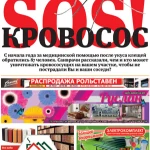 Автовоз и рабочий поезд столкнулись в Актюбинской области