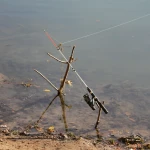 На каких водоемах ЗКО нельзя ловить рыбу