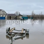 В какие дни в ЗКО ожидается пик паводка