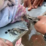 Застрял палец: 10-летней девочке помогли казахстанские спасатели