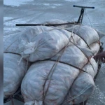 Полтонны рыбы незаконно выловили в Атырауской области