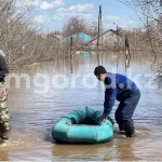 Для 2,5 тысячи дачников Уральска планируется покупка жилья