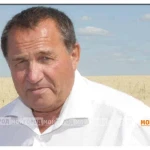 Для ИП и ТОО: кто может перейти на новый режим налогообложения