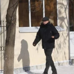 Государство ставит препоны — фермеры ЗКО о пошлине на экспорт семян подсолнечника