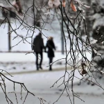 Гороскоп на 17 февраля для всех знаков