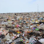 170 незаконных свалок выявили в Атырау