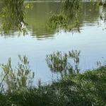 В Казахстане построят четыре новых водохранилища. Одно из них в ЗКО