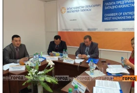 В Казахстане на волю выпустили редких дроф-красоток