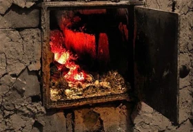 187 детей укусили клещи в Алматы