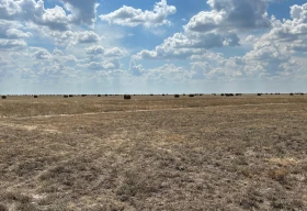БҚО-да 4750 гектар жайылым жер мемлекет меншігіне қайтарылды
