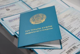 БҚО-да «Аңсаған сәби» бағдарламасымен 353 бала дүниеге келді