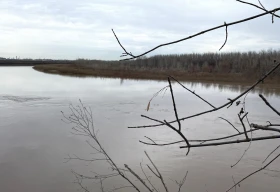 Уровень воды в Урале вырос на 4 см за прошедшие сутки