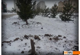 Спасатели рассказали, как проходят поиски иностранного туриста в горах Алматы