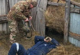 Жителя ЗКО придавило рулоном сена весом в 300 килограмм