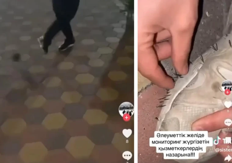 Жители Актобе сыграли в футбол с живым ежом | Мой Город Жители Актобе сыграли в футбол с живым ежом