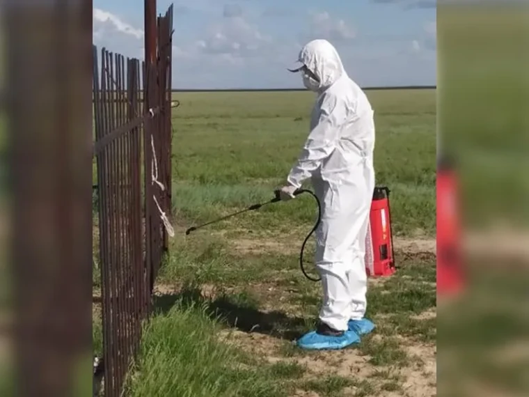 Когда начнется дезинфекция затопленных дач Уральска | Мой Город Когда начнется дезинфекция затопленных дач Уральска